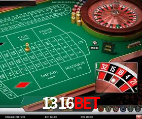 Security Systems 1316bet